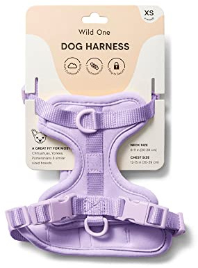 Wild One 2.0 Dog Harness Gray XS
