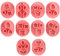10stk Mini-Blütenblatt Ausstechformen aus Polymer-Ton, 10 Formen Werkzeuge aus Polymer-Ton Mini-Blatt Ausstechformen-Set für Ohrringe Schmuckherstellung DIY-Basteln