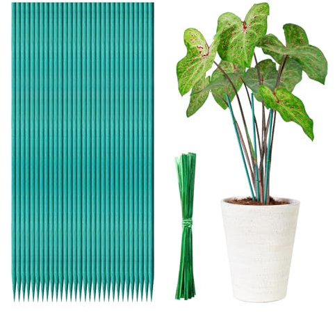 30 Pcs 30cm Bamboo Plant Sticks Support with 50 Twist Ties, Pointed Garden Support Sticks for Vegetables, Bamboo Canes, Flowers & Potted Plants, Splinter-Free, Fade-Resistant