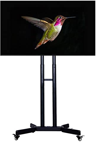 Carrello Porta TV Mobile con Ruote, Supporto da Pavimento Regolabile per TV A Schermo Piatto da 32, 40, 42, 43, 50, 55 E 65 Pollici, Carrello Espositivo per La