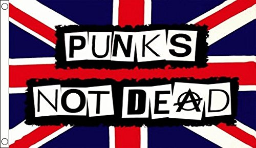 The Flag Wholesaler b010458 Punks Not Dead Flagge, Mehrfarbig, 24 x 1 x 23 cm