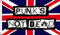 The Flag Wholesaler b010458 Punks Not Dead Flagge, Mehrfarbig, 24 x 1 x 23 cm