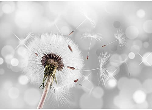 Runa Art Fototapeten 396 x 280 cm Pusteblumen - Vlies Wanddekoration Wohnzimmer Schlafzimmer - Deutsche Manufaktur - Grau 9155012a