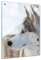 Bilderdepot24 Memoboard 60 x 40 cm | Tiere | Husky | abwaschbare Glas-Magnettafel mit Halterung Magneten Stift 1318