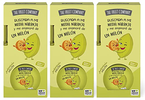 The Fruit Company Mikado Ambientador, MELÓN, 40 ml