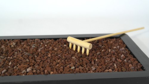 15 tipologia tra Terriccio, Lapillo, Pomice, Zeolite, Humus lombrico, Sabbia di fiume, Akadama, Kiryuzuna, Kanuma, Agriperlite, Torba (Lapillo 3/5 mm., 10 lt.)