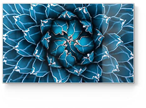 DEQORI Frühstücksbrett Glas | klein 23x14 cm | Motiv Detailansicht einer Agave | Design Schneidebrett für Küche | Frühstücksbrettchen antibakteriell & rutschfest | Glasplatte & Servierplatte