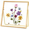 REDHUGO Cadre en verre pour fleurs pressées fait à la main, double cadre en verre, cadre de table, cadre photo simple en métal géométrique flottant en verre, carré, doré, 10,2 x 10,2 cm