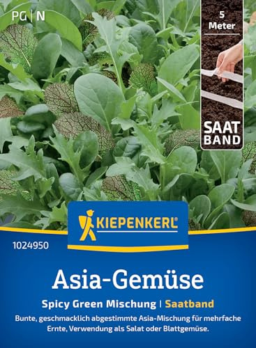 Kiepenkerl Asia-Salatsamen Spicy Green Mischung 1024950, Gemüsesaat | Bunte, geschmackliche abgestimmte Asia-Mischung für eine Wuchshöhe 10-20 cm