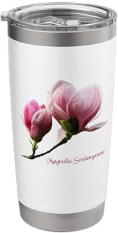 Magnolia Soulangeana Flower Saucer Magnolia Flower Stainless Steel Insulated Tumbler