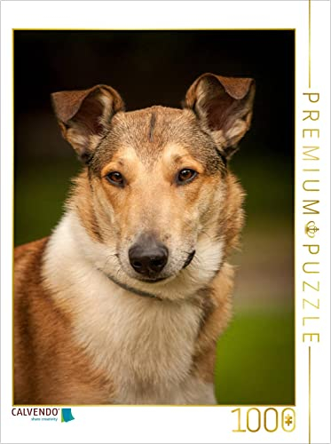 CALVENDO Puzzle Loki 1000 Teile Puzzle hoch | Lege-Größe cm Foto-Puzzle für glückliche Stunden