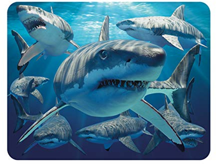 3D LiveLife Imán - Grandes Tiburones Blancos de Deluxebase. Imán de Nevera lenticular 3D diseño de océano. Adorno magnético para niños y Adultos con ilustración del reconocido Artista David Penfound