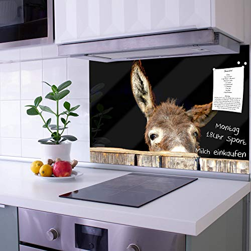 banjado Küchenrückwand Glas ohne Bohren 60x40cm – Glasrückwand Küche mit Motiv Esel/Spritzschutz Küchenrückwand Glas/selbstklebende Küchenrückwand Platte - magnetisch & beschreibbar