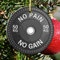 Weihnachtsbaumschmuck Für Gymer Individuelle No Pain No Gain Fitness Weihnachtsanhänger Personalisierte Christbaumschmuck Anhänger Andenken Weihnachtsschmuck Für Holiday Party Weihnachtsbaum