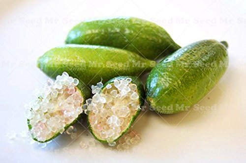 Semi 50Pcs frutta tropicale Finger Limes agrumi Semi per i semi da giardino balcone piante rare Bonsai Albero da frutto Sapore Frutta Speciale 1
