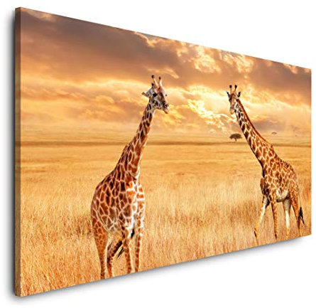 Giraffen in der Savanne 120x 60cm Panorama Leinwand Bild XXL Format Wandbilder Wohnzimmer Wohnung Deko Kunstdrucke