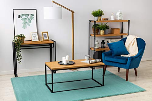 rugsx Teppich Bunny Plüschteppich in Kaninchenfell-Optik - weich & kuschelig für Wohnzimmer, Schlafzimmer & Ankleidezimmer, Aqua-blau 120x170 cm
