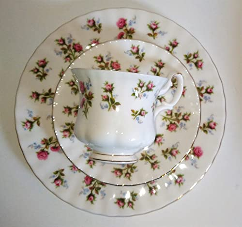 AngiesStrickZauber / Royal Albert - Sammeltasse/Windsome / 1 Tasse - 1 Untertasse - 1 Kuchenteller/Original/Bone China/Rofu/Action/Kik