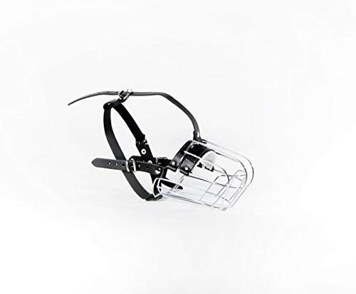 Muselière en fil métallique pour chien Border Collie et autres chiens similaires (panier argenté/cuir noir, 4)