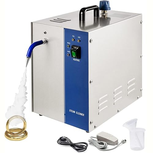 DPQYJPP Machine De Nettoyage À La Vapeur pour Bijoux,Lave Bijoux en Acier Inoxydable,Nettoyeur Vapeur pour Bijoux en Or Et en Argent,pour Bagues,Montres,Boucles Oreilles,Lunettes,4L