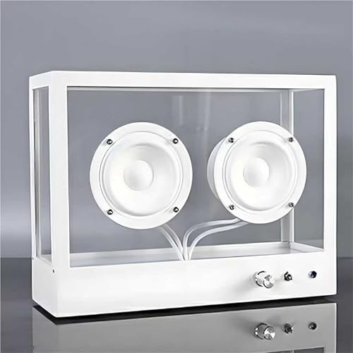 Enceinte Cassette Transparente, Portable et Minimaliste, Chambre Acoustique Transparente entièrement fermée, Compatible Bluetooth/USB/AUX, idéale pour Offrir au Bureau ou au Salon.(Small White)