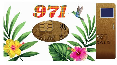 Color Pop Etui Rigide 1 Carte Guadeloupe Couleur Motif imprimé Colibri - Fabrication française - 6 x 9 cm (Carguada)