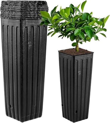 Vasi per piante da vivaio Theaque: 50 vasi in plastica neri, 30.00X10.00X10.00cm, per interni ed esterni