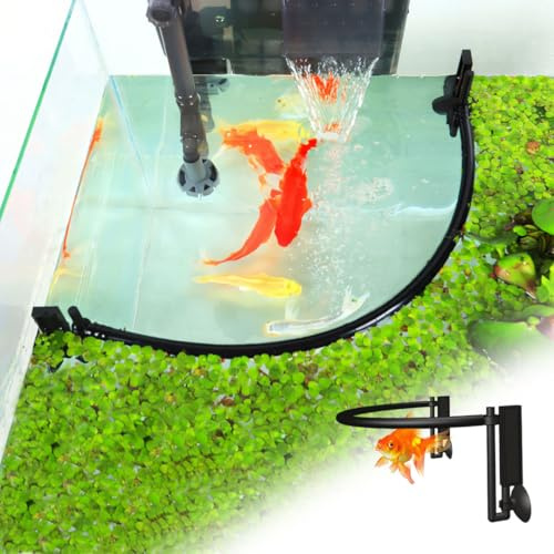 HyzaPhix Corral flottant rond pour plantes d'aquarium, anneau d'alimentation pour aquarium avec hauteur réglable, pour accessoires d'aquariums encadrés et sans cadre (B)