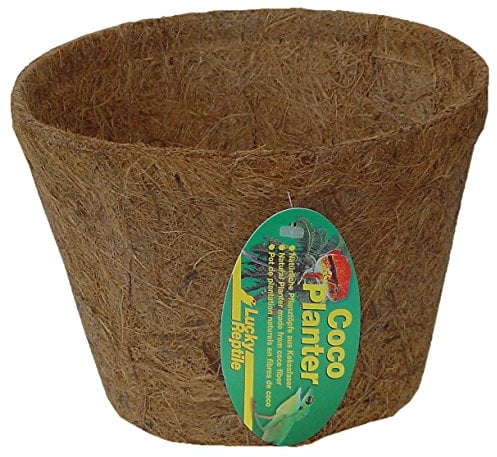 Lucky Reptile Coco Planter, Größe:Groß