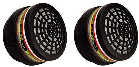 Climax 2X Ersatzfilter A2 für Halbmaske Typ Climax Staubmaske Maske Atemschutz, Weiß, Mittel, 2 Filter, EN 14387, 2 Stück