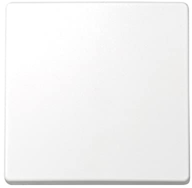 Simon 73010-60 - Tecla Interruptor y Conmutador s-73, Blanco