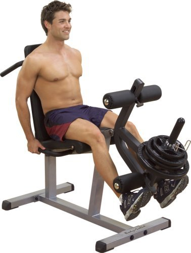 Body-Solid GLCE-365 Beinstrecker & Beinbeuger mit Gewichten (Hantelscheiben Guss (2 Grifflöcher, grau))