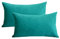 Lutanky 2 Stück Elegante Samt Überwurf Kissen Weich Kissenbezug Massiv Rechteck Dekoratives Kissen Bezüge für Sofa Schlafzimmer Auto 50 x 30 cm (Dunkles Türkis,2 Stück)