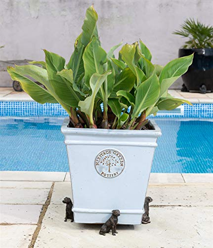 Potty Feet Border Terrier Figures Plant Pot Feet - Planter Support - Handmade Decorative Ornaments - 3pcs
