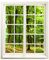 Wandtattoo - Fenster mit Aussicht Wald 99 x 120 cm (BxH) - Wandaufkleber - Wandsticker