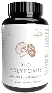 Pilze Wohlrab | Bio Polyporus Pulver Kapseln | 100 Stück | 500 mg reines Eichhase Pulver je Kapsel | Vitalpilze | 1 Dose | Beste Bio-Qualität
