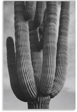 Ansel Adams Kunstdruck auf Leinwand, Motiv: Kaktus, Schwarz und Weiß, Landschaftsfotos, Poster, Wandkunst, dekoratives Bild, Drucke, modern