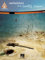 Switchfoot: The Beautiful Letdown - Gitarre - Buch