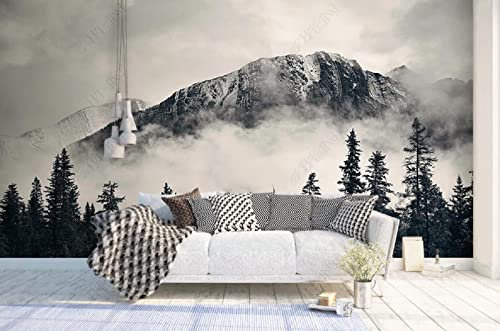Papier Peint 3D Intissé Sommet De La Montagne De Brume Papier Peint Panoramique 3D Moderne Décoration Murale