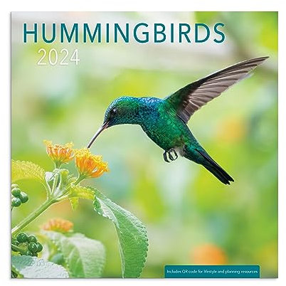 Kolibris Wandkalender 2024