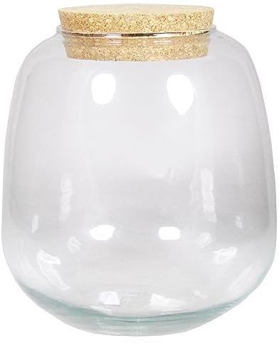 INNA-GLAS Terrarium pour Plantes en Verre YASIL avec Couvercle en liège, Transparent, 25cm, Ø21cm - Terrarium décoratif/Bocal de Stockage