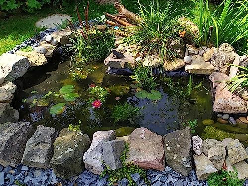 Heavy Duty HDPE Stagno Liner 10x10m Flessibile Impermeabile Giardino Piscina Membrana per Koi e Pesci Piscine Durevole Facile da Tagliare 4x8m 5x6m 6x10m