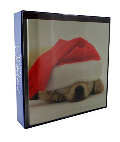 Second Nature Box of 8 Winter Wonderland Christmas Cards In 2 Designs Xmas Card Packs XCPC004