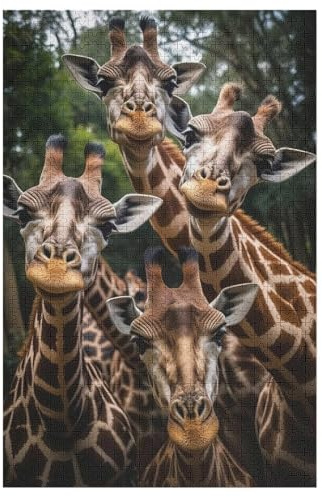 Giraffe Holzpuzzle - 1000 Teiliges Jigsaw Knobelspiel - Puzzle Für Erwachsene & Kinder - Outdoor & Reisespielzeug (78×53cm)