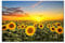 Paul Sinus Art 120x80cm - WANDBILD Sonnenblumen Sonnenuntergang Himmel - Leinwandbild auf Keilrahmen modern stilvoll - Bilder und Dekoration
