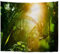 A.Monamour Wanddekor Wandteppiche Sonnen Durch Wald Dschungel In Vietnam Tropischen Grünen Palme Blätter Natur Landschaft Wandbehang Tapisserie Wanddekoration Vorhänge Bettdecken 180x230cm