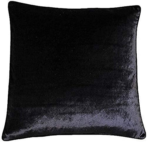 Riva Paoletti Luxe Velvet Feather Filled Cushion - Black - Soft Velvet Feel Fabric - Reversible - Hidden Zip Closure - Machine Washable - 100% Polyester Case - 55 x 55cm (22 x 22 inches)