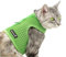 Beroni Katzengeschirr Cat Walking Jacket Brustgeschirr Weste ausbruchsicher NO Escape grün (Large)