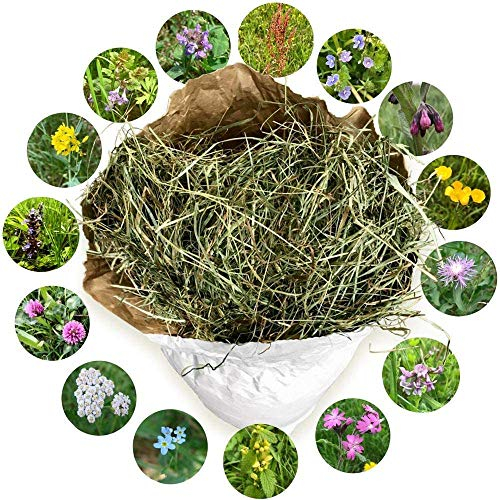 NATURHEU 1. Schnitt. Heu = Qualitäts-Kleintier-Futter für Kaninchen Hasen Hamster Nager & Kleintiere aus der größten Heumilch-Region Europas in Österreich~ 1 kg lose im ÖKO-Papiersack
