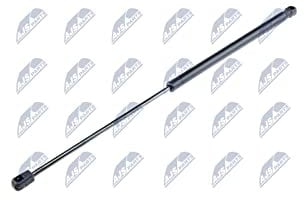 NTY Heckklappendämpfer, Koffer-/Laderaum, Dämpfer, Rear, AE-FR-007